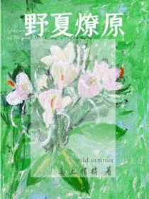 野夏天完整版在线观看
