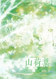 山荷叶属于什么植物